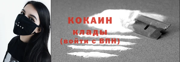 сатива Богородицк