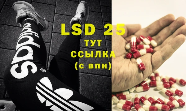 крисы Белокуриха