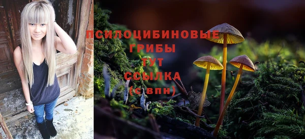 метадон Богородск