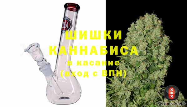сатива Богородицк
